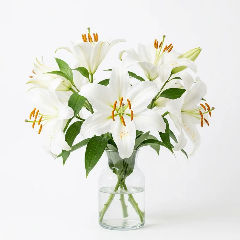 Lilies