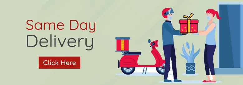 Online Rakhi Delivery in India Same Day