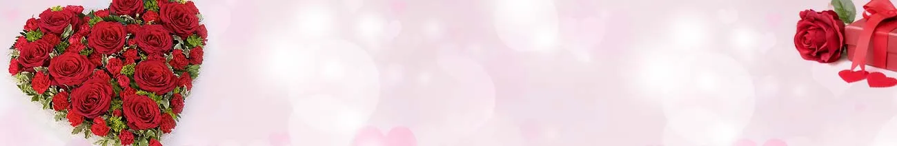 Send Valentine Gifts to India Online