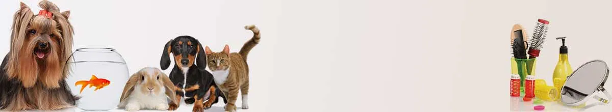 Send Pet Care Gifts to India - Exclusive Gifts, Cheap Price