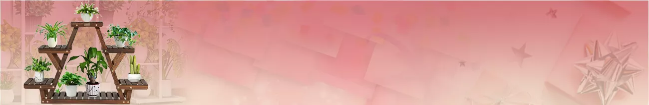 Send Same Day Plants to India Online