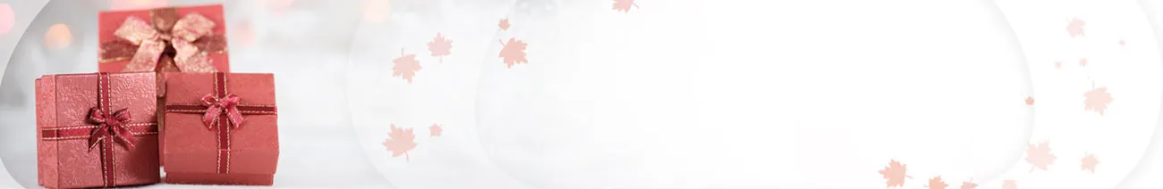 Send Same Day Premium Gifts to India Online